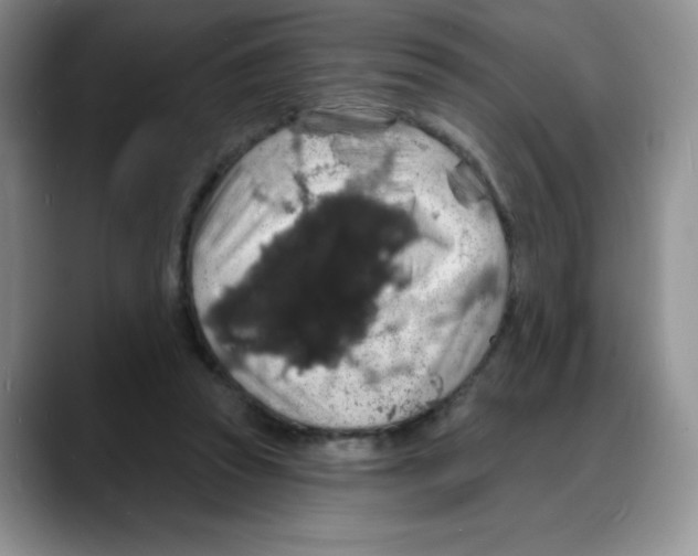 X0000088080353200706081734