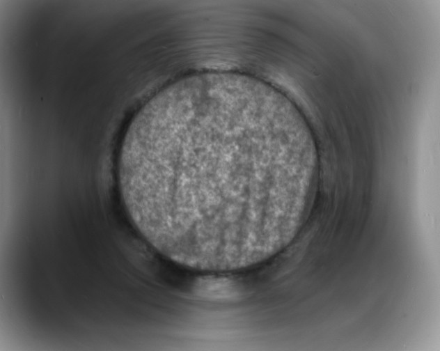 X0000088080354200706081734