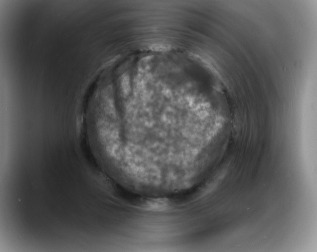 X0000088080355200706081734