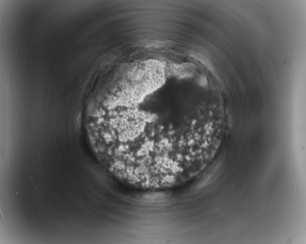 X0000088080357200706081734