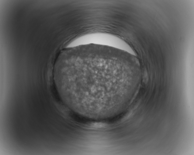 X0000088080360200706081734
