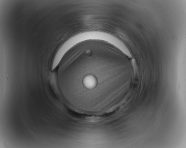 X0000088080362200706081734