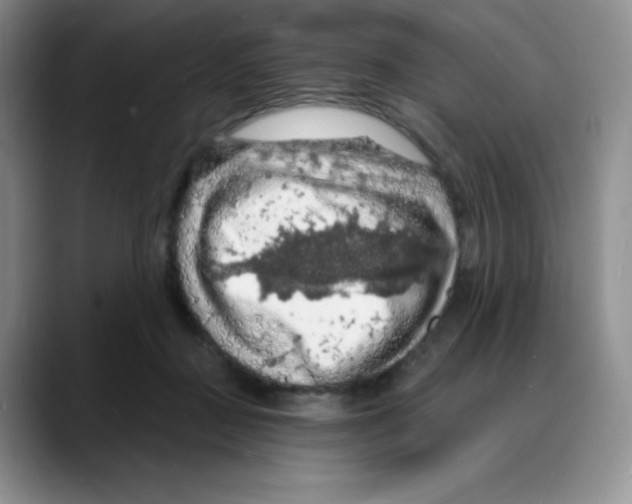 X0000088080363200706081734