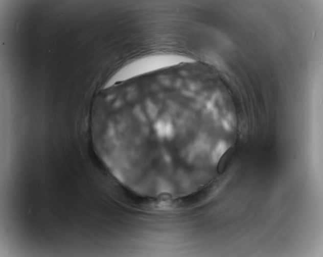 X0000088080365200706081734