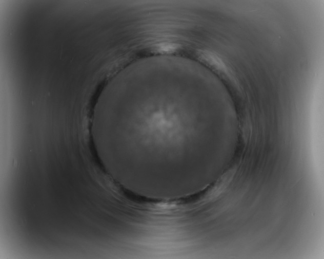 X0000088080366200706081734