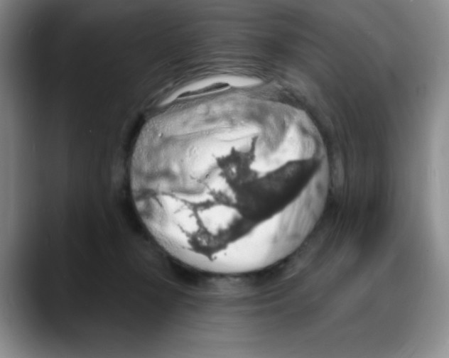 X0000088080367200706081734
