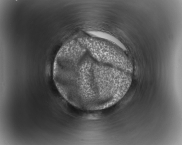 X0000088080368200706081734