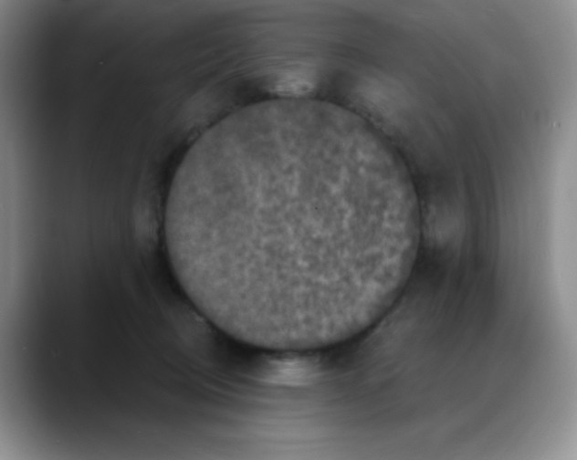 X0000088080370200706081734
