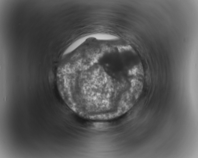 X0000088080371200706081734