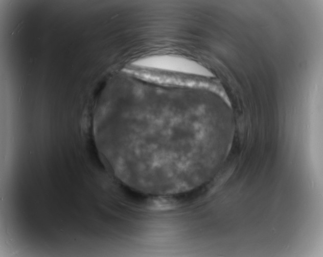 X0000088080372200706081734