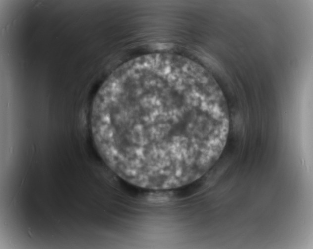 X0000088080373200706081734
