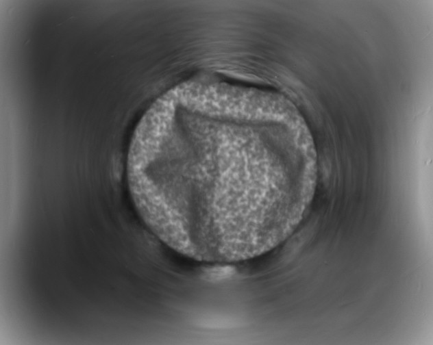 X0000088080374200706081734