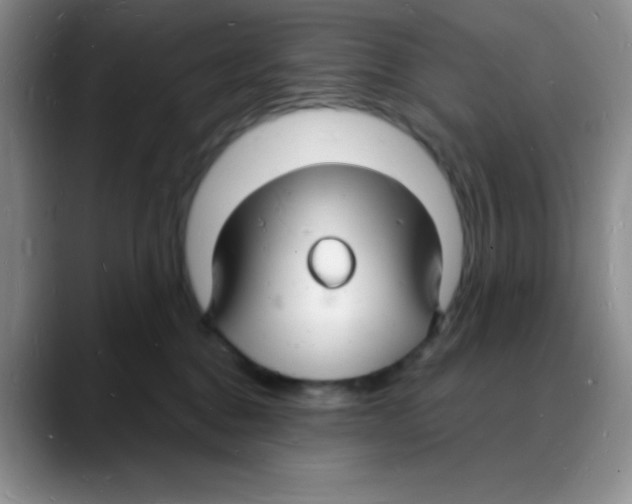 X0000088080376200706081734