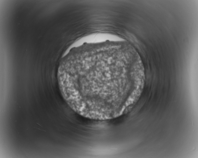 X0000088080377200706081734