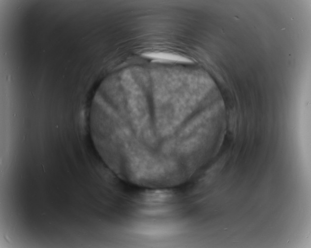 X0000088080378200706081734