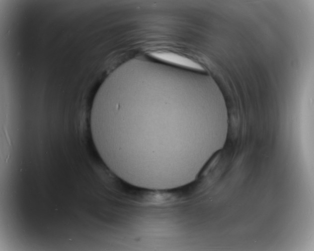 X0000088080379200706081734