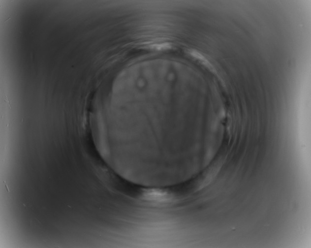 X0000088080380200706081734