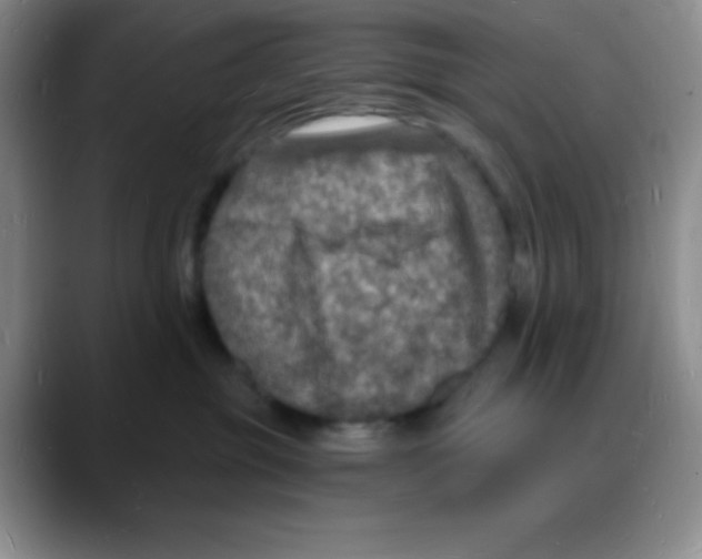 X0000088080381200706081734