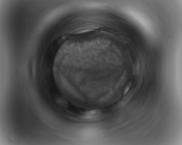 X0000088080382200706081734