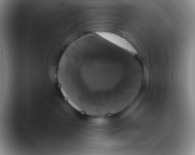 X0000088080383200706081734