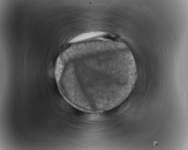 X0000088080384200706081734