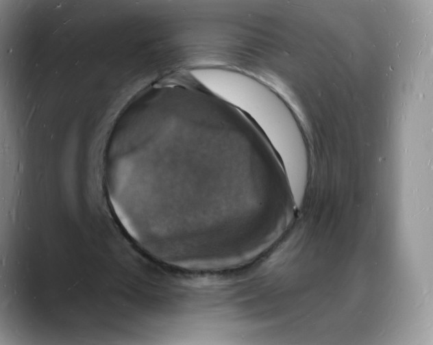 X0000088080385200706081734
