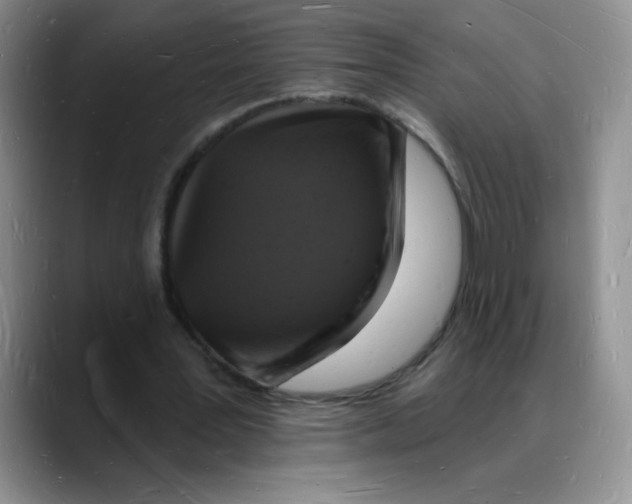 X0000088080387200706081734