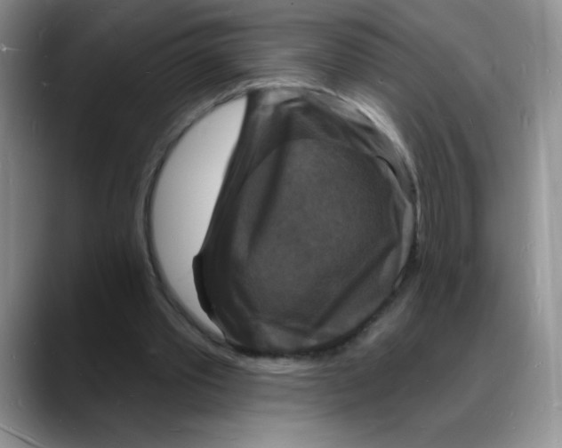 X0000088080389200706081734
