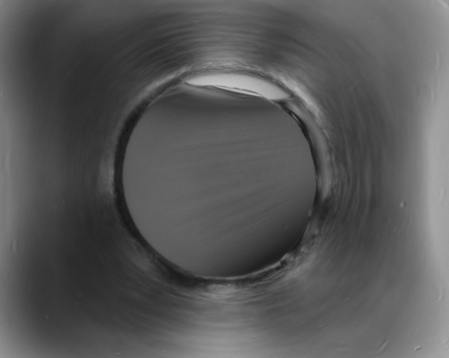 X0000088080391200706081734