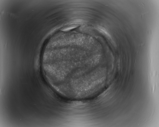 X0000088080392200706081734