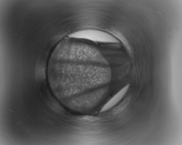 X0000088080393200706081734