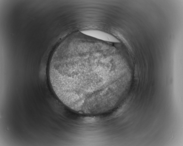 X0000088080394200706081734