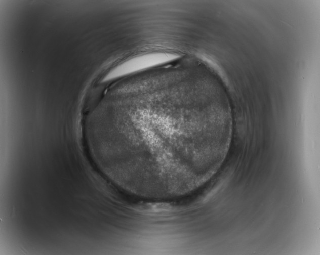 X0000088080395200706081734