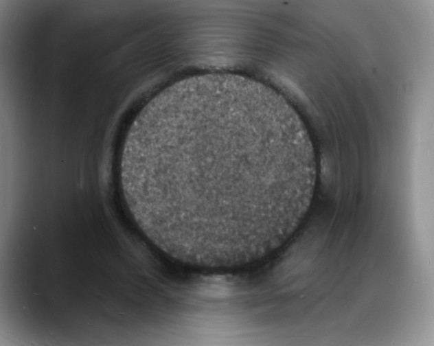 X0000088080396200706081734