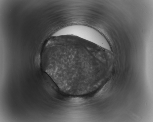 X0000088080397200706081734