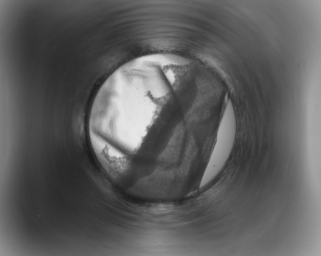 X0000088080398200706081734