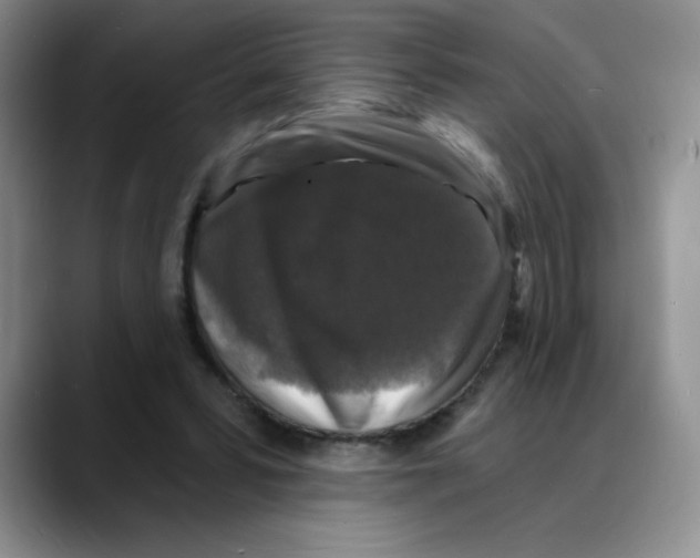 X0000088080399200706081734