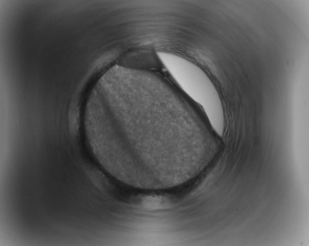 X0000088080400200706081734