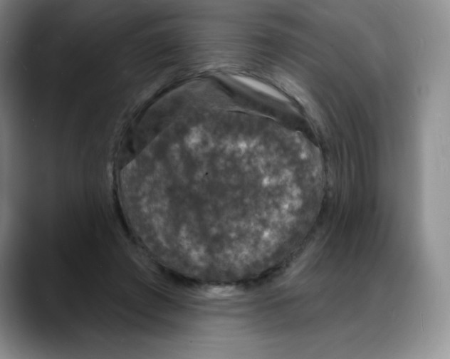 X0000088080401200706081734