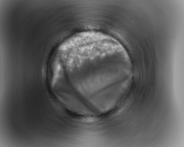 X0000088080402200706081734