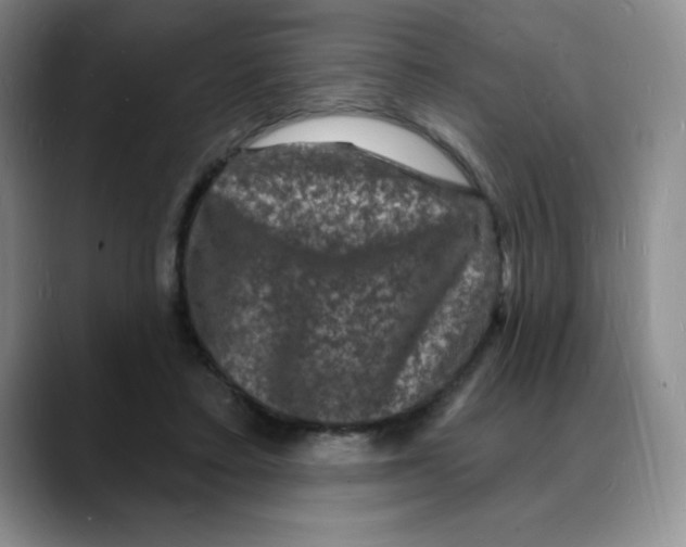 X0000088080403200706081734