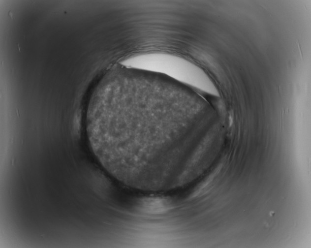 X0000088080404200706081734