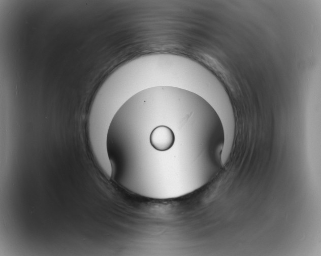 X0000088080405200706081734