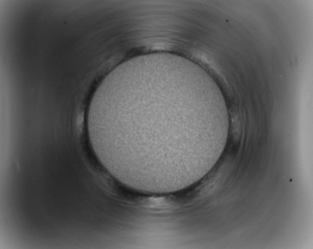 X0000088080406200706081733