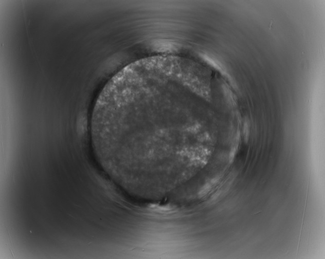 X0000088080407200706081733