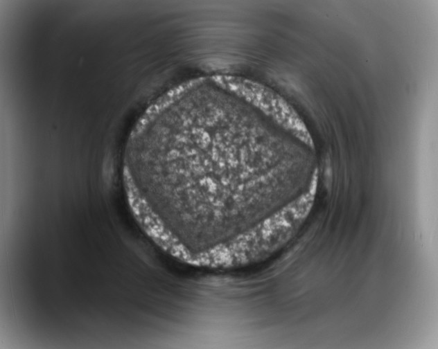 X0000088080408200706081733