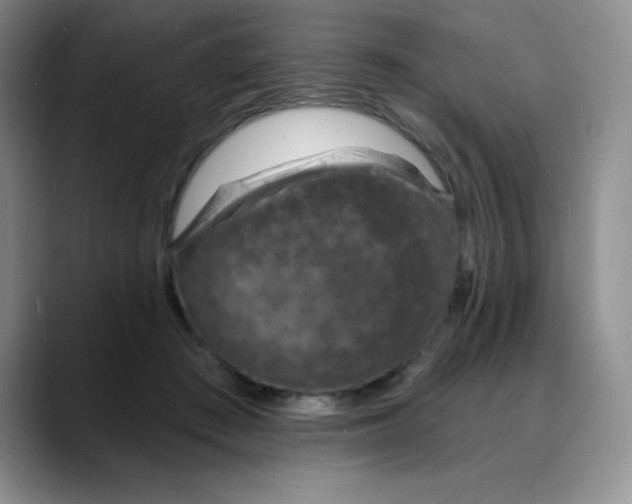 X0000088080409200706081733