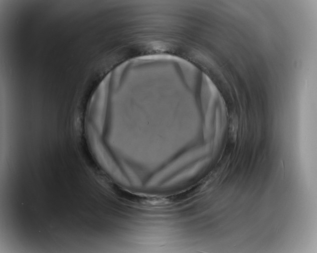 X0000088080410200706081733