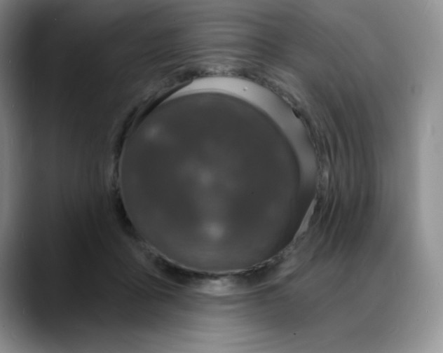 X0000088080411200706081733