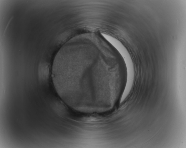 X0000088080412200706081733